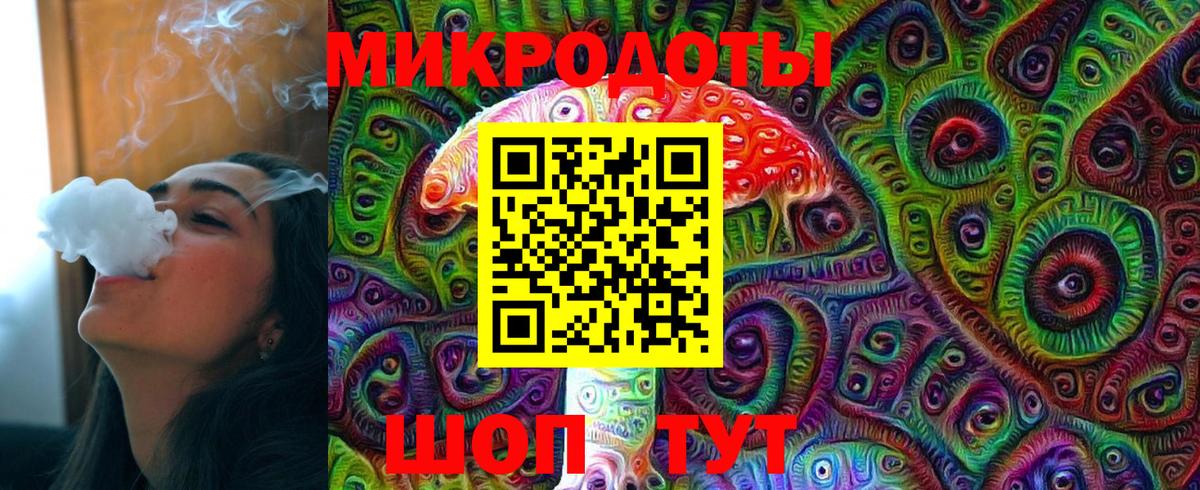 Псилоцибиновые грибы Psilocybe Сергиев Посад